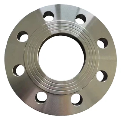 ASTM A182 GR F304 flans